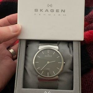 Skagen stainless Mens Watch